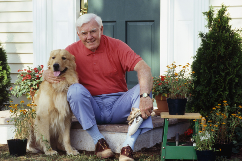 chinese medicine for pets