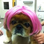 halloween contest at town and country