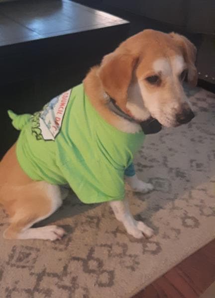 Gilbert after surgery