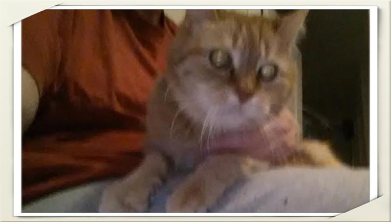 Maxine20YearsOld