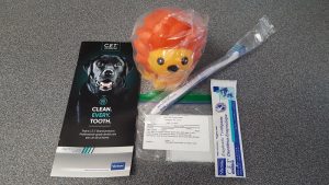 dental goody bag