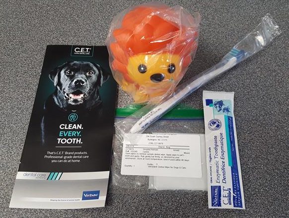 dental goody bag