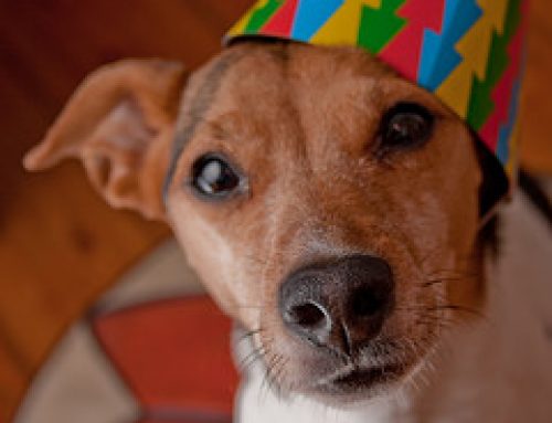 Countdown to a Happy New Year