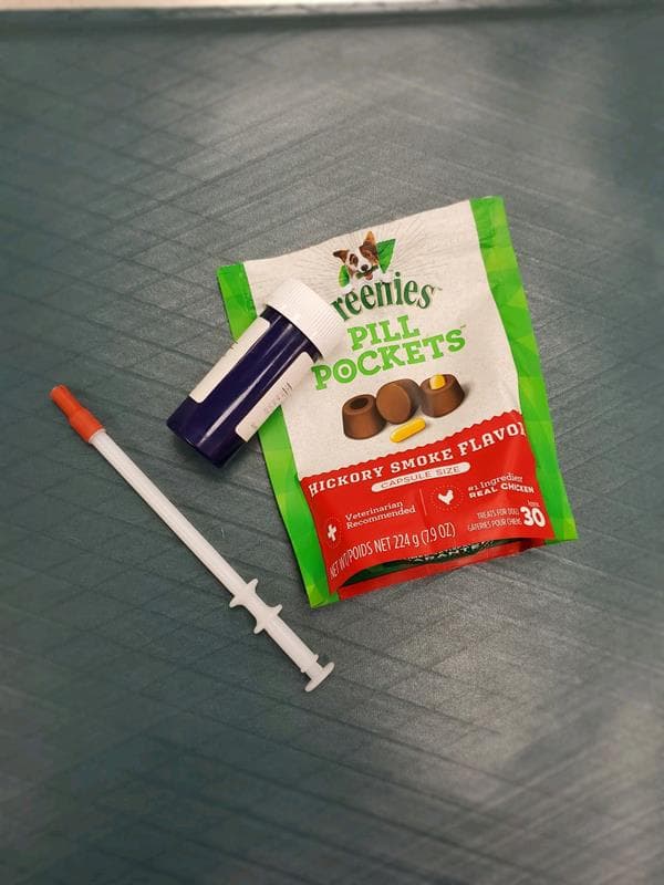helping your pet take a pill