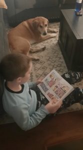 child and dog