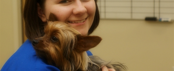 Heartworm prevention