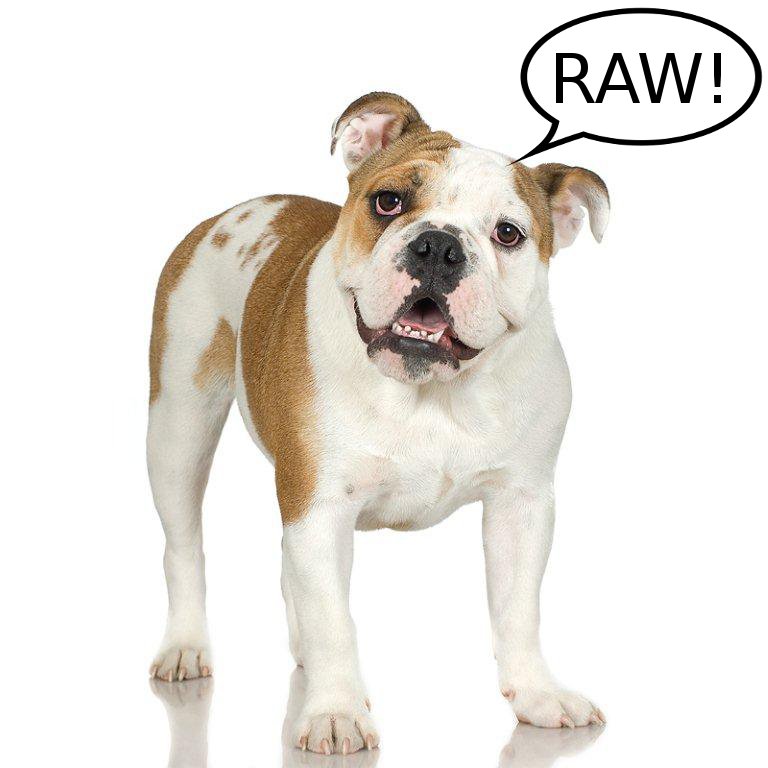 raw pet food