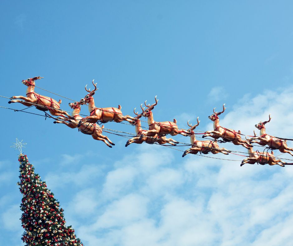reindeer cleared for takeoff