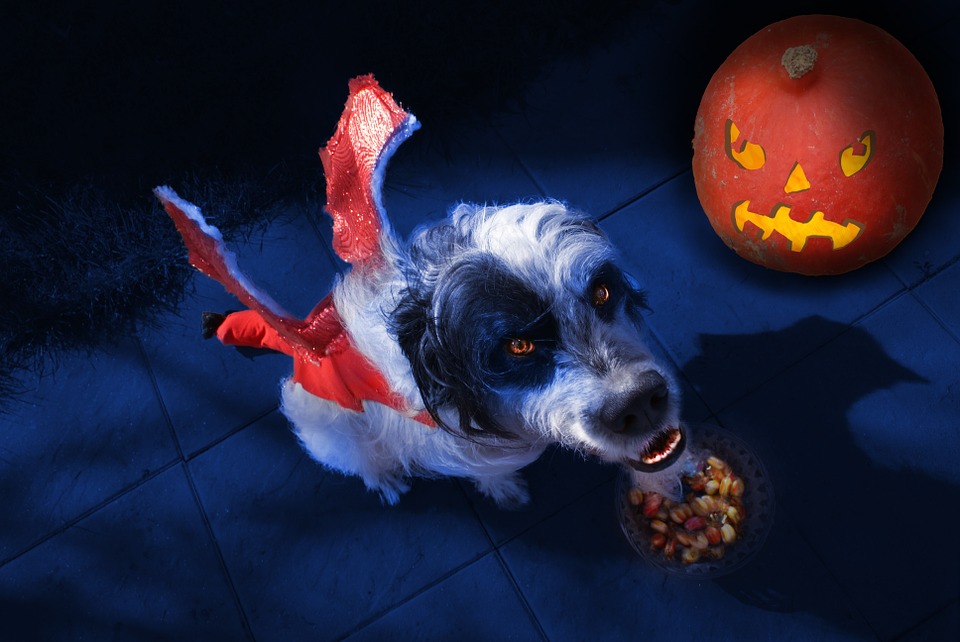 scary rabies
