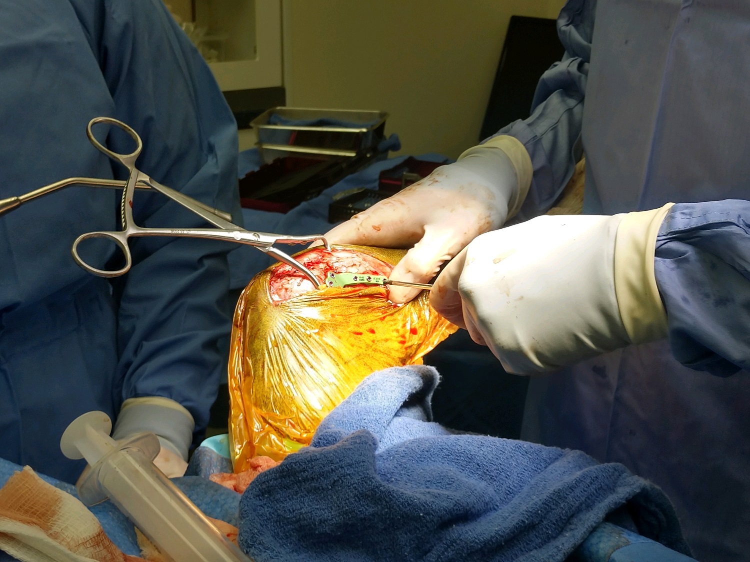 tplo surgery cranial cruciate ligament