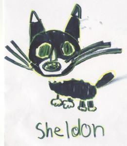 sheldon1