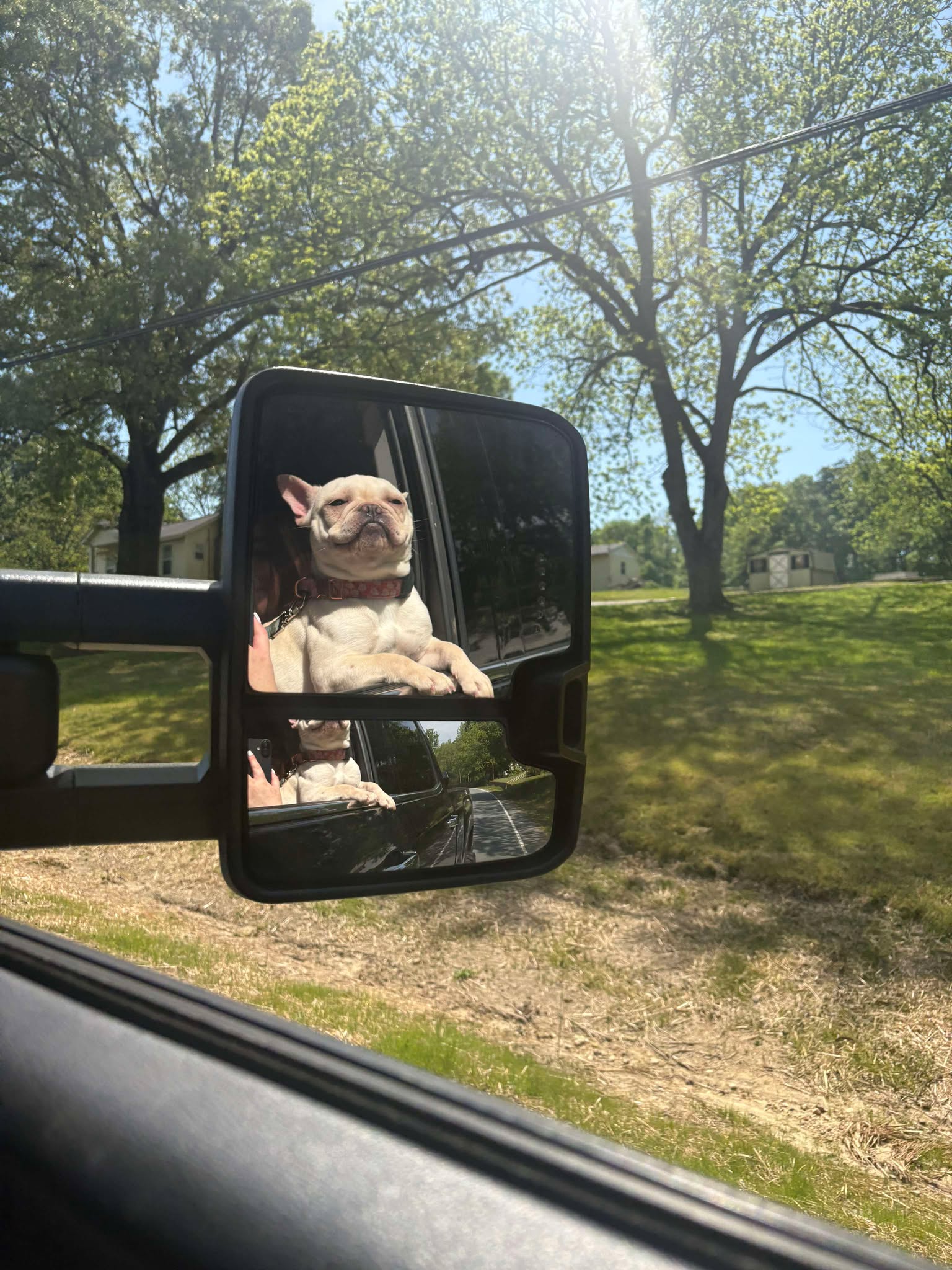 riding in car on road trip