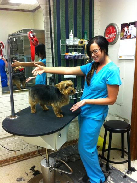 ozzy nance biggest loser