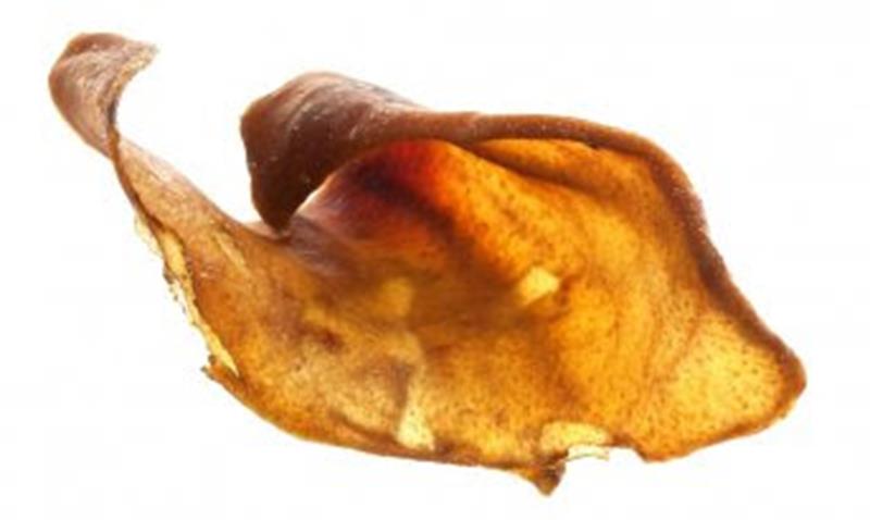 pig ears