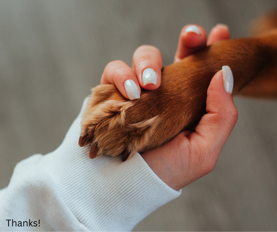 Human and dog paw