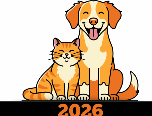 Dr. Bolynn Reflects on 2025