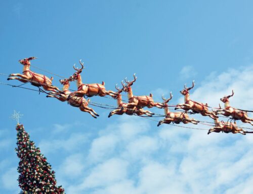 Town N Country North Pole News Update