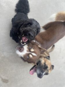 singing along at town N Country