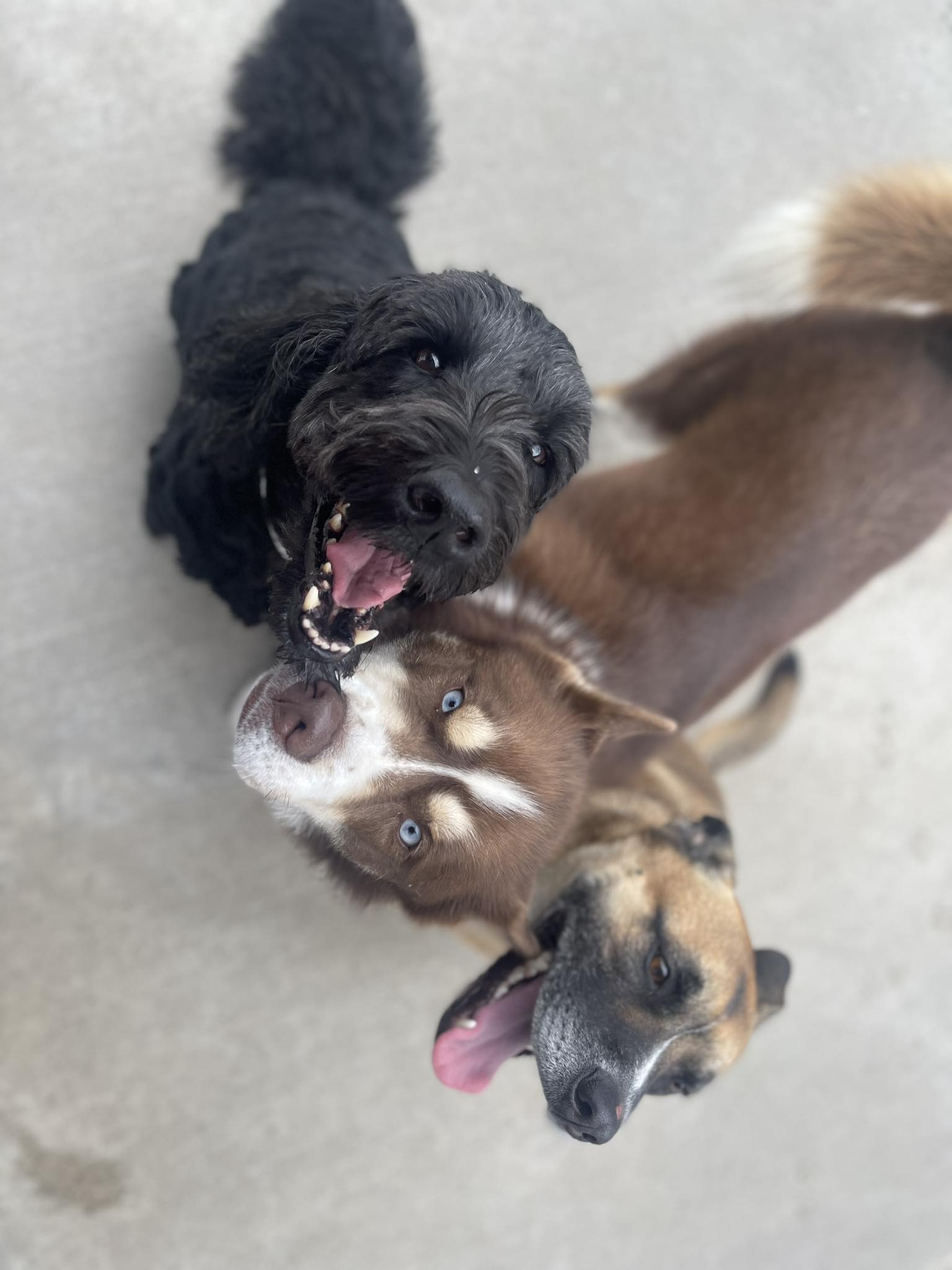 singing along at town N Country