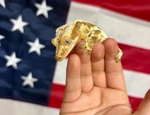 Celebrating America’s 250th Birthday