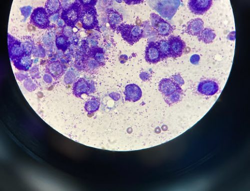 Got a Lump? Get Fast Answers with In‑House Imagyst Cytology